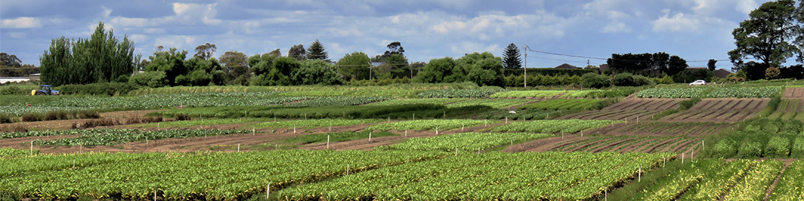 HortCouncil3