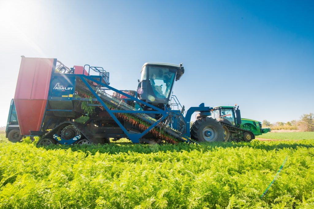 Vegetable Industry Export Strategy 2021-2025 - Summary
