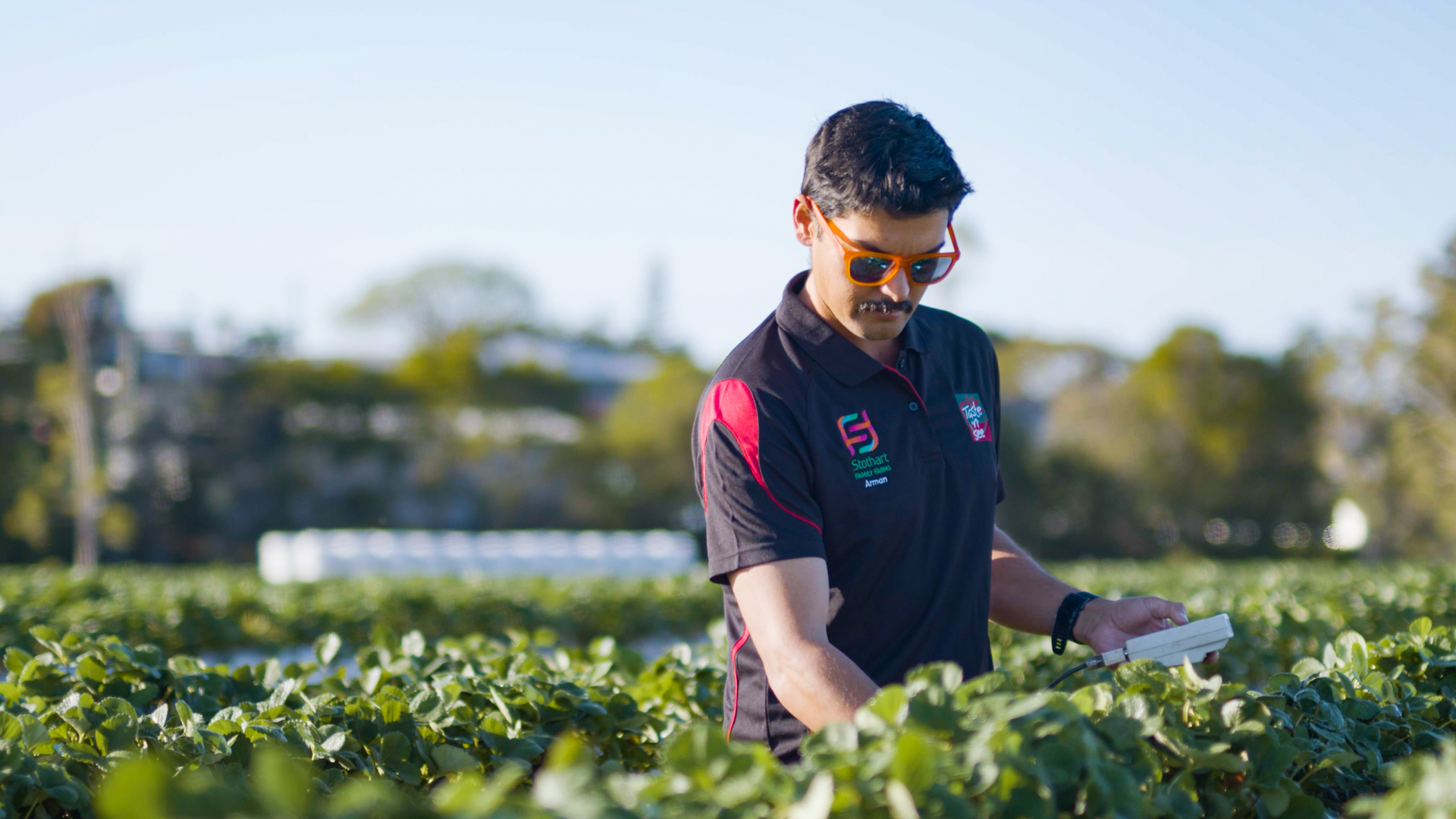 AUSVEG Arman Berkett-Saleh Stothart Family Farms (8)