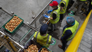 ATMAC European Study Tour: ADAS and Stourgarden/PG Rix
