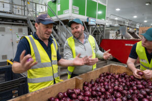 ATMAC European Study Tour: Moulton Bulbs, AH Worth, Elsoms Seeds